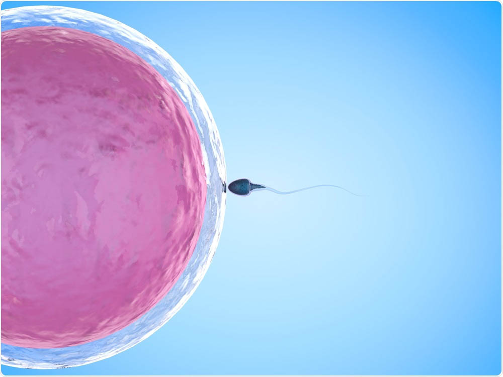 Best IVF Hospital