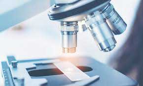 All Pathology Services(ecg,fundus,Camers)